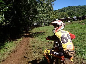 P2210017.jpg