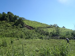 P2210039.jpg