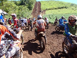 P2210047.jpg