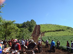 P2210048.jpg