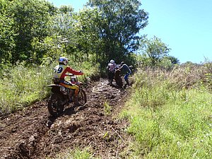 P2210055.jpg