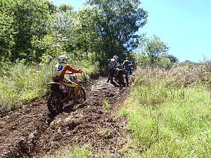 P2210056.jpg