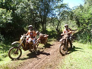 P2210060.jpg