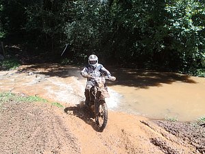 P2210066.jpg
