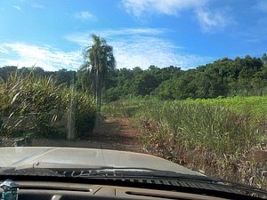 IMG-20160226-WA0004.jpg