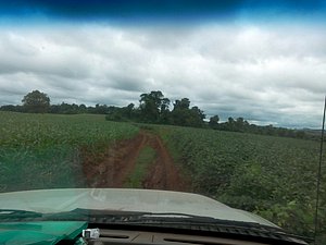 IMG-20160226-WA0020.jpg