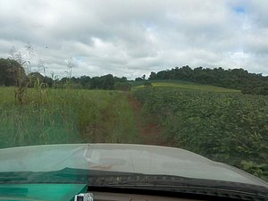 IMG-20160226-WA0022.jpg