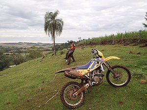 P4240027.jpg
