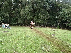 P4240029.jpg