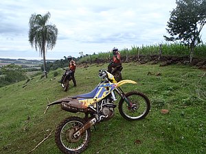 P4240030.jpg