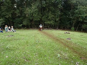 P4240031.jpg