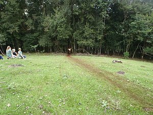 P4240032.jpg