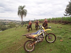 P4240034.jpg