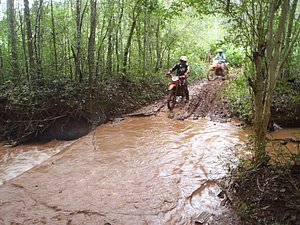 P4240035.jpg