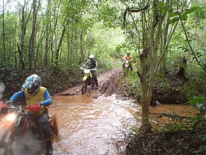 P4240041.jpg