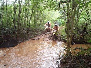 P4240042.jpg