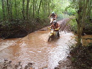P4240043.jpg