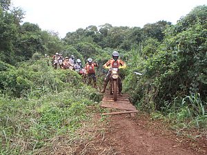 P4240044.jpg