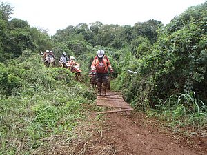 P4240045.jpg