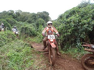 P4240046.jpg