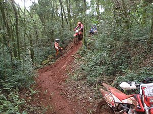 P4240056.jpg