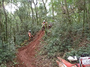 P4240061.jpg