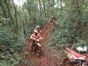 P4240063.jpg
