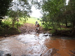 P4240066.jpg