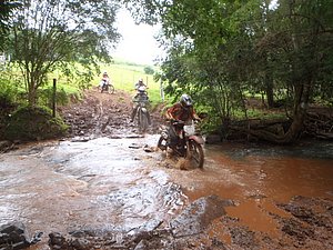 P4240067.jpg