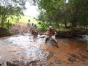 P4240068.jpg