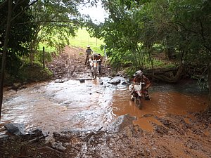 P4240071.jpg