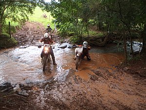 P4240072.jpg