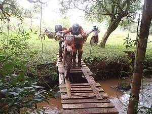 P4240076.jpg