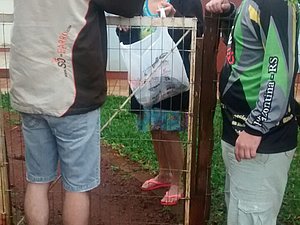 IMG-20160919-WA0021.jpg