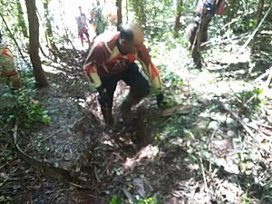 20160920_095606.jpg