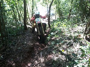 20160920_095737.jpg