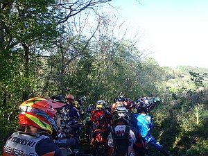 P9250013.jpg