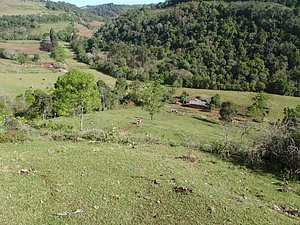 P9250026.jpg