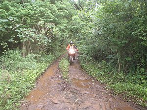 PA150008.jpg
