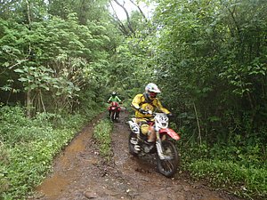 PA150010.jpg