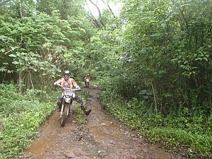 PA150012.jpg