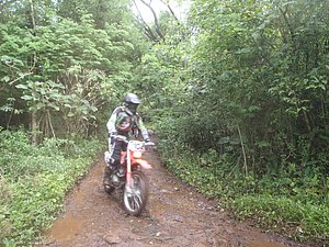 PA150013.jpg
