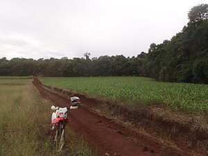 PA150017.jpg