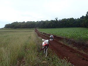 PA150019.jpg