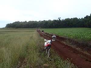 PA150021.jpg