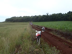 PA150022.jpg