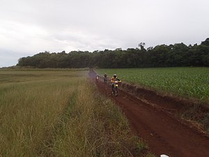 PA150024.jpg