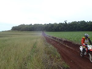 PA150025.jpg