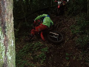 PA150049.jpg