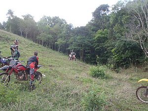 PA150071.jpg